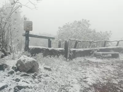 nieve laguna de yala