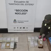 Detectaron más de 65 kilos de cocaína en colectivos que partieron desde Jujuy y Salta