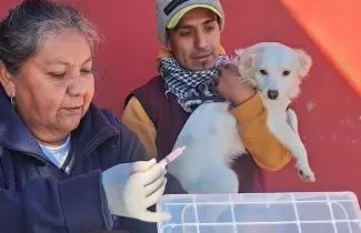 vacunacion antirrabica
