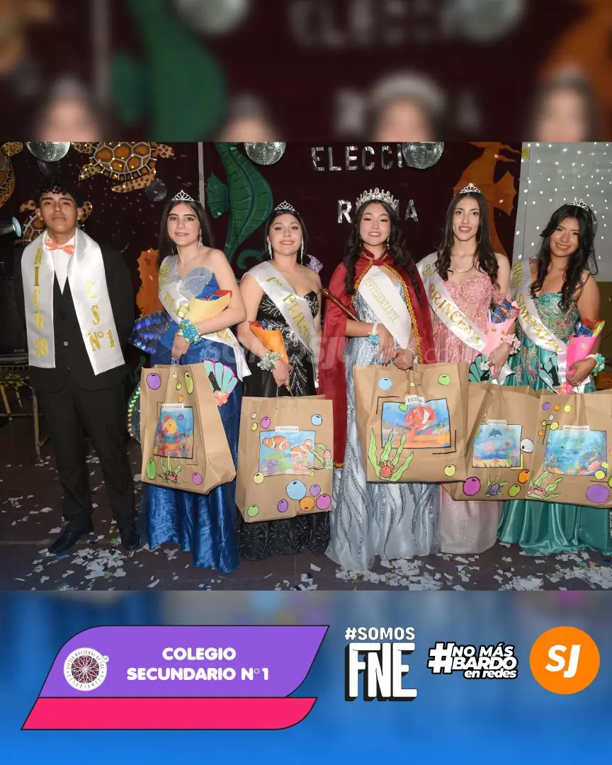 elegidas sec1 2025