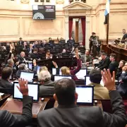 Rev�s para el Gobierno: el Senado aprob� el aumento a jubilados y la emergencia en discapacidad
