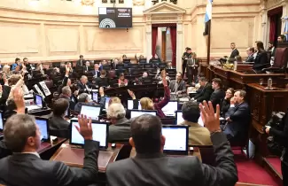 senado