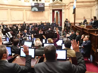 senado
