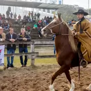 El gobernador Sadir participó de la tradicional Exposición de Caballos Peruanos de Paso