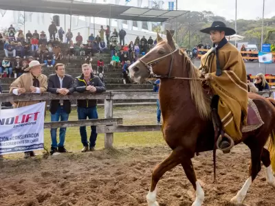 sadir caballos peruanos