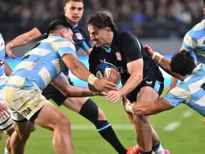 los pumas