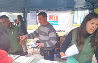 inta jujuy