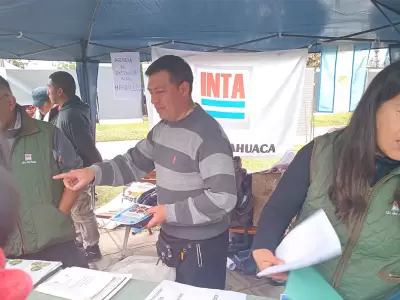 inta jujuy