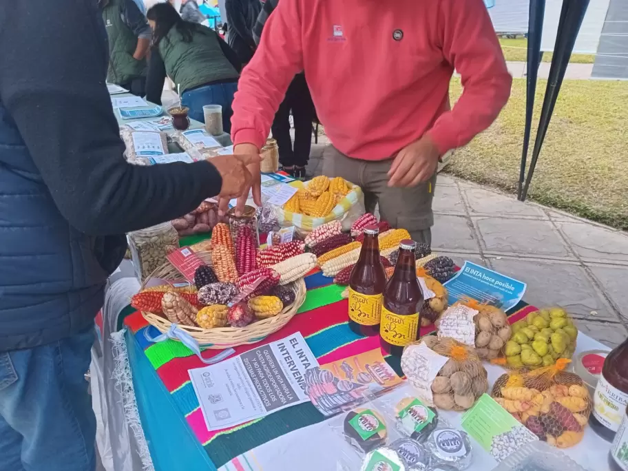 Muestras Inta Jujuy