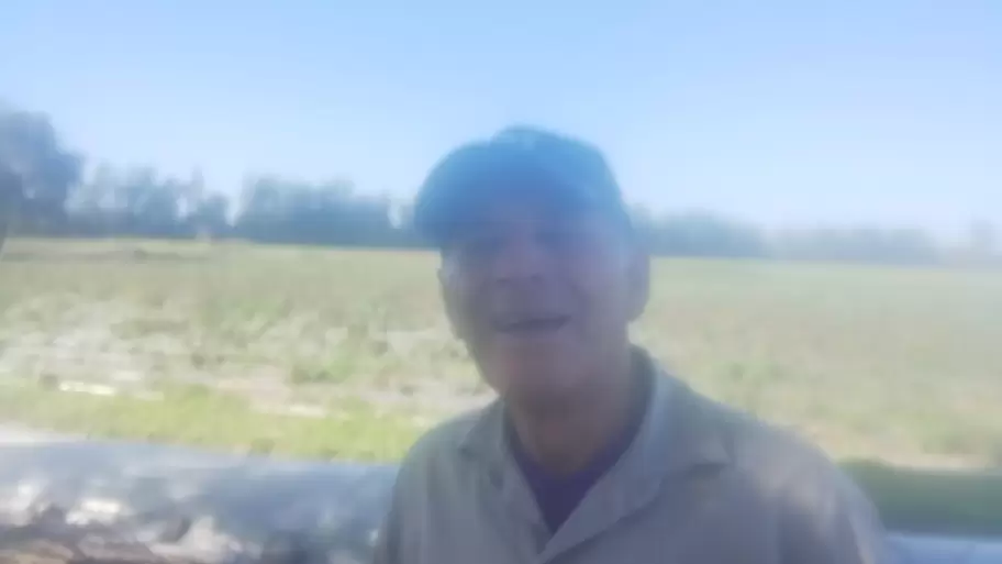 Raúl Hernández, productor de frutillas
