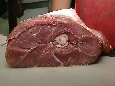 carne de llama