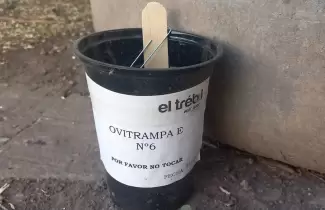 ovitrampa
