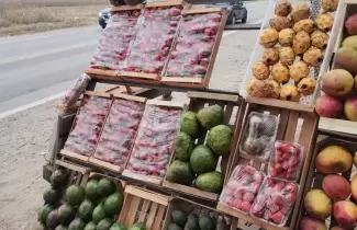 frutillas