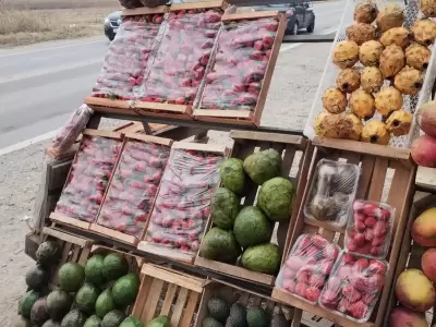 frutillas