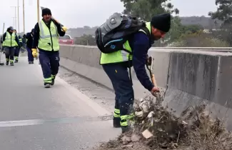 limpieza avenida savio