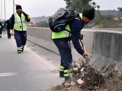 limpieza avenida savio