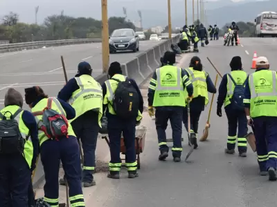 limpieza avenida savio