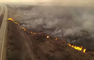 incendio palpala