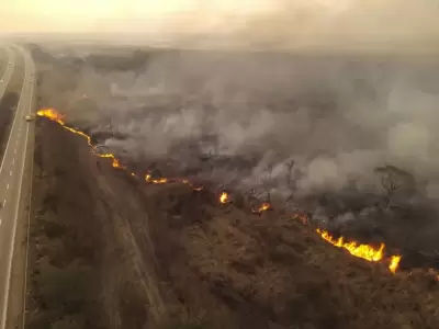 incendio palpala