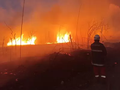 Bomberos combaten el fuego en Jujuy