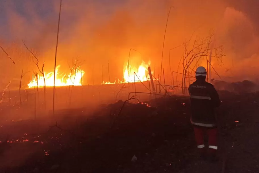 Bomberos combaten el fuego en Jujuy