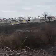 Incendios en Jujuy: la ministra Zigar�n afirm� que la mayor�a de los focos fueron intencionales