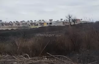 incendio alto comedero