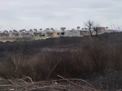 incendio alto comedero