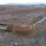Jujuy: los incendios consumieron m�s de 2.600 hect�reas en los alrededores de las zonas urbanas
