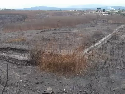 incendio de interfase en alto comedero