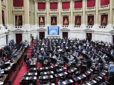 diputados