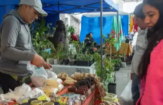 feria campesina