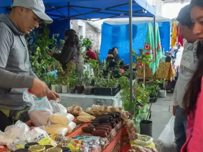 feria campesina