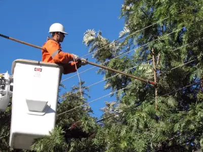 corte programado ejesa