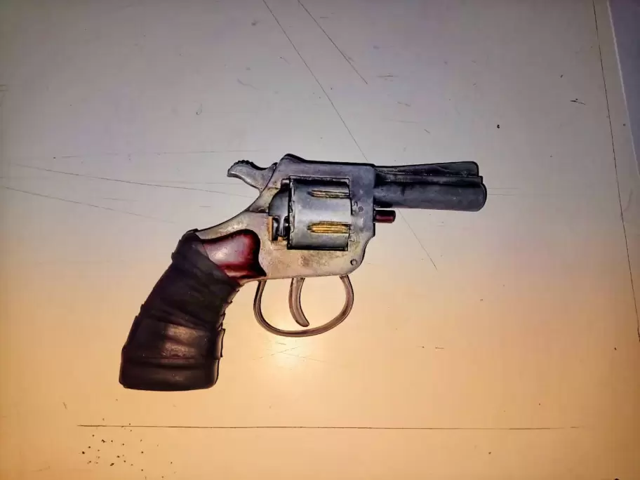 arma secuestrada