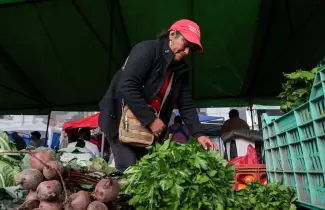 feria campesina 02
