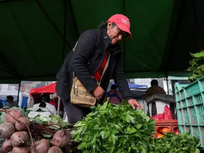 feria campesina 02
