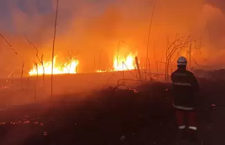 incendios