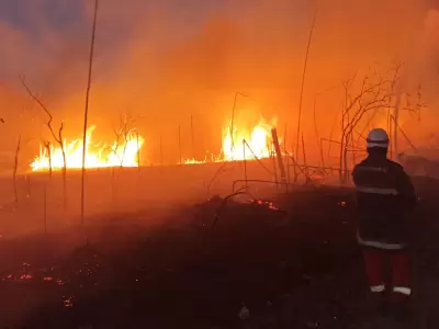 incendios
