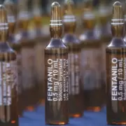 Cómo se contaminó el fentanilo que ya provocó 96 muertes y de qué manera se distribuyó: la explicación de los fiscales