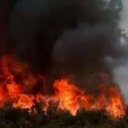 Arde el sur de Europa: los incendios forestales causaron tres muertos en España y hay miles de evacuados