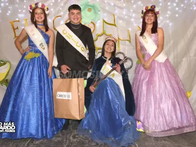bachi 16