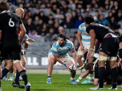 los pumas