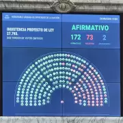 Emergencia en Discapacidad: uno por uno, cómo votaron los diputados el rechazo al veto de Milei