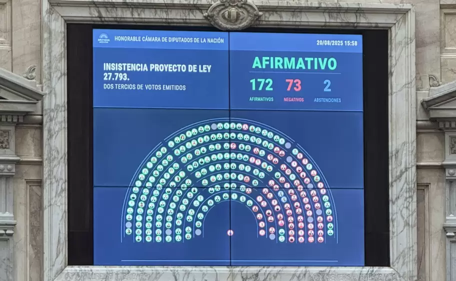 voto rechazo veto emergencia en discapacidad