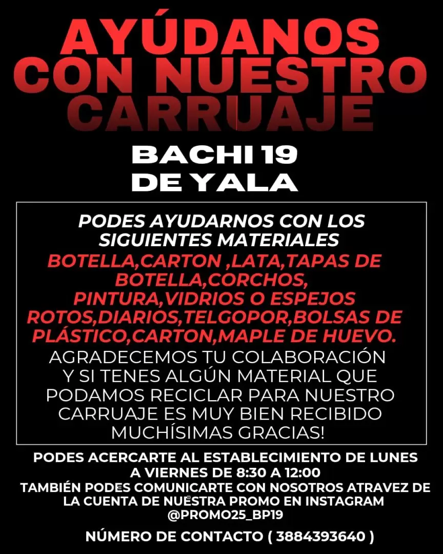 bachi 19