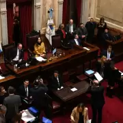La oposici�n convirti� en ley el financiamiento universitario y Milei se prepara para otro veto