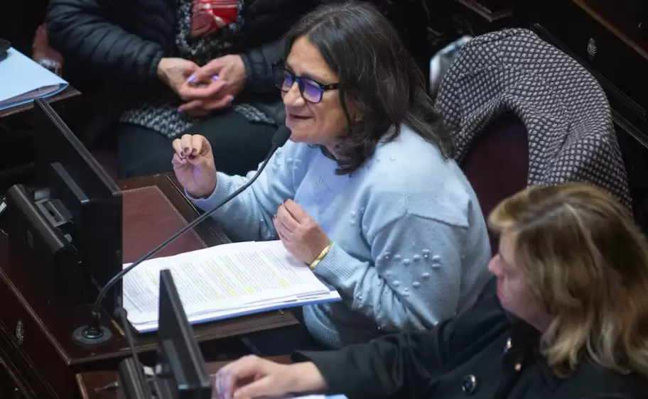 la senadora kirchnerista y titular de la comision de salud de la camara alta, lucia corpacci