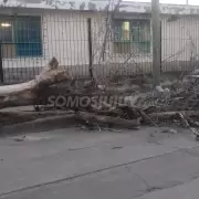 El barrio Cuyaya fue el más afectado por el viento zonda que llegó durante la madrugada a la capital jujeña