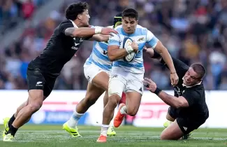 los pumas